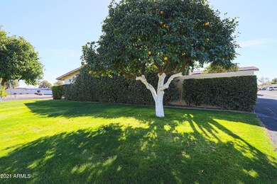 17498 N Del Webb Blvd, Sun City, AZ 85373 - photo 5