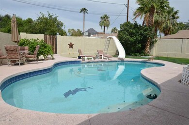 Diving Pool with slide & 2 spring board