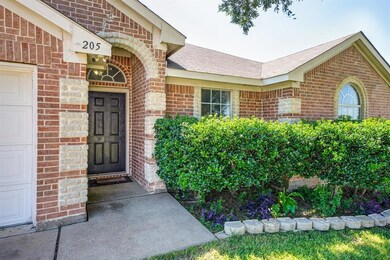 205 Whitestone Way, Weatherford, TX 76085 - photo 4