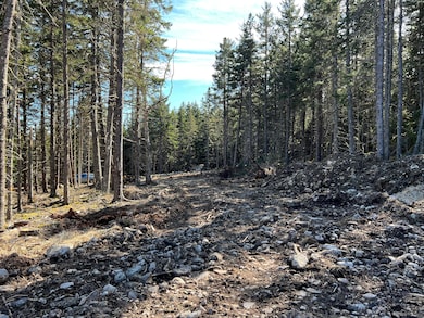 7-2C Main St, Isle Au Haut, ME 04645 - photo 2