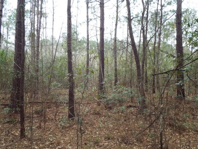 143 Dixon Ln, Cordesville, SC 29434 - photo 3