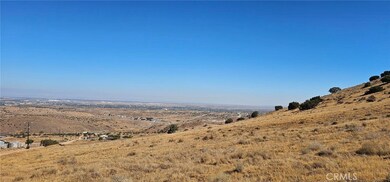 0 Rough Rd unit SR25202411, Palmdale, CA 93550 - photo 4