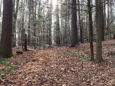 159 Mechanic St, Barre, MA 01005 - photo 4