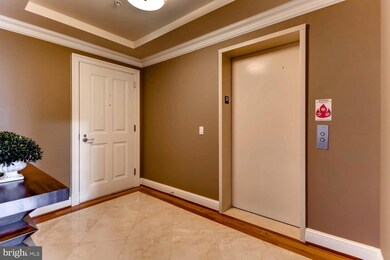 The Ritz-Carlton Residences, Baltimore, MD 21230 - photo 2