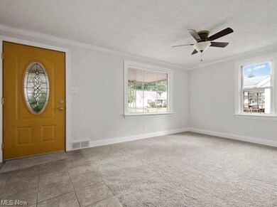 64 W Lewis St, Struthers, OH 44471 - photo 2