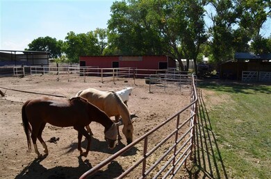 Stalls, animals ok