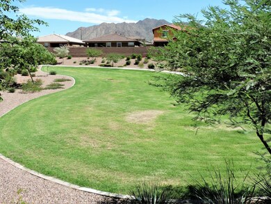 Back Yard Greenbelt View