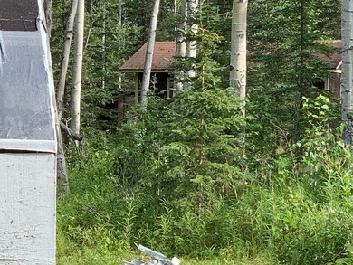 Cabin