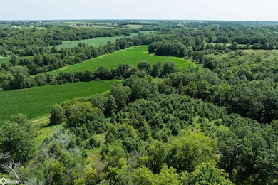 TBD Driftwood Blvd, Bloomfield, IA 52537 - photo 3