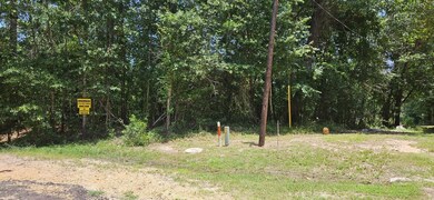 00 Blanks Bend Rd, Coldspring, TX 77331 - photo 5