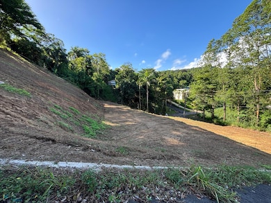 n/a Camino Los Ruiz unit n/a, Trujillo Alto, PR 00976 - photo 3