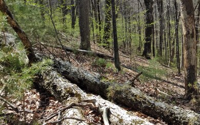 M99 Sleepy Hollow Rd, Ellijay, GA 30536 - photo 3