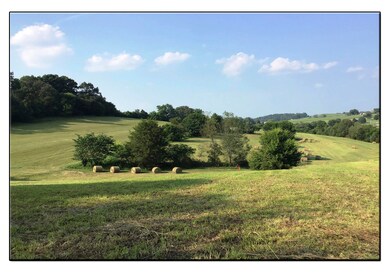 5280 107 Cutoff land 2_edited-1