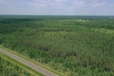 TBD Arkola Rd E, Kelsey, MN 55724 - photo 2