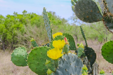 TBD Cr 341, Hondo, TX 78861 - photo 2