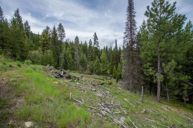 0 Tbd 36 Clear Creek Rd, Cascade, ID 83611 - photo 2