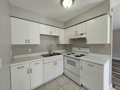 3035 66th Ave N unit E1, Saint Petersburg, FL 33702 - photo 2