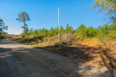 000 Quarter Round Rd, Pacolet, SC 29372 - photo 7