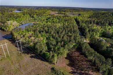 287 Lake Sinclair Dr, Sparta, GA 31087 - photo 4