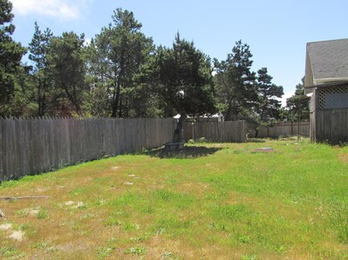 Back yard view 2