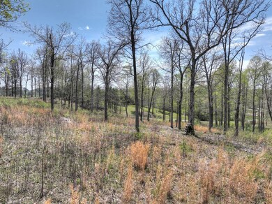 6 Arbor Creek Trail, Mineral Bluff, GA 30559 - photo 5