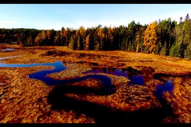 DM BABSON CREEK WINTERS NOV 2015 SCREENH