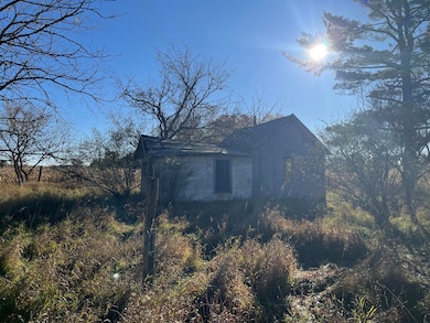 Par A Monroe Rd, Lakeview, MI 48850 - photo 4