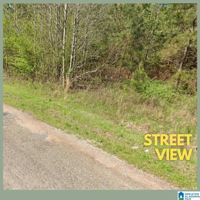 Tract 3B County Road 329, Wedowee, AL 36278 - photo 3