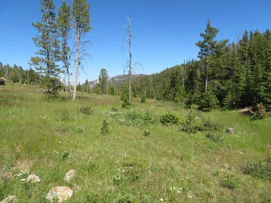 Blue Belle Quartz Hill Rd, Wise River, MT 59762 - photo 7