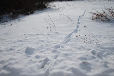 0 Ellsworth Rd unit 478422, Ellsworth, MI 49729 - photo 4