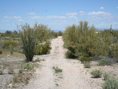 12330 N Hexcel Rd, Florence, AZ 85132 - photo 5