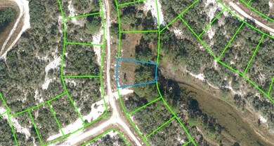 125 Summer Oak Ct, Lake Placid, FL 33852 - photo 2