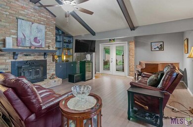 Living room with custom built-ins, fire place, cat