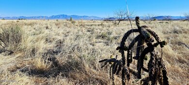 TBD Knox Rd (8)