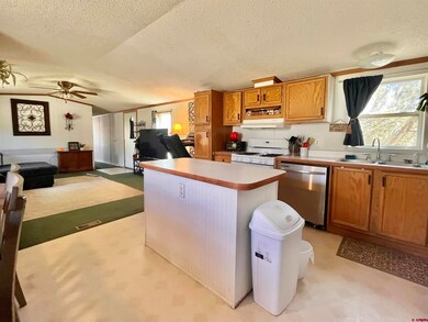 34344 Highway 160 unit 61, Durango, CO 81303 - photo 3