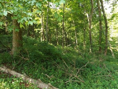 10121 Swamp Rd, Logan, OH 43138 - photo 6