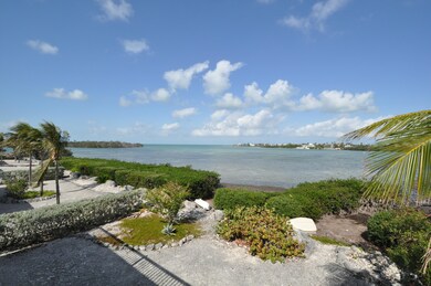 View (1)