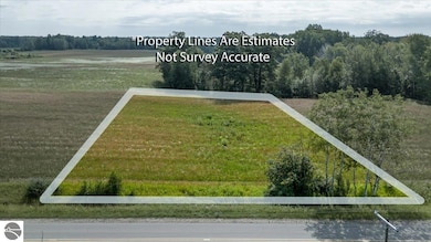 00 Lot 2 Countyline Rd, Hale, MI 48739 - photo 2