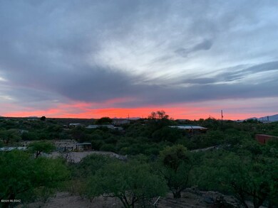 backyard sunset