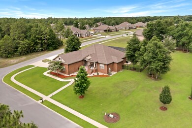Ariel View 3