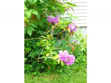 238 Pearl St, Rutland, VT 05701 - photo 2