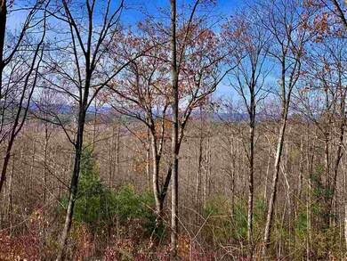 294 Mount Hunger Rd, Henniker, NH 03242 - photo 3