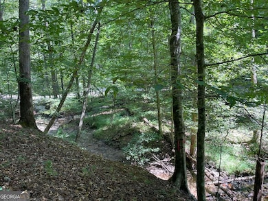 LOT 223 Bowline Dr unit 223, Ellijay, GA 30540 - photo 3