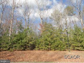 0 Red Fox Ln unit 1000998786, Milton, DE 19968 - photo 2