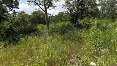 lots walnut p 7-6-25