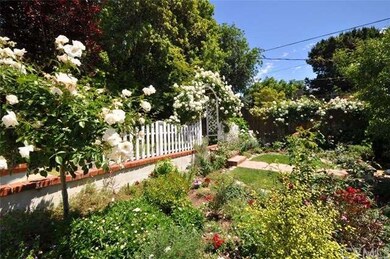 More photos of the backyard