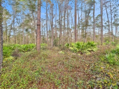 465 NE River Ridge Way, Lee, FL 32059 - photo 5