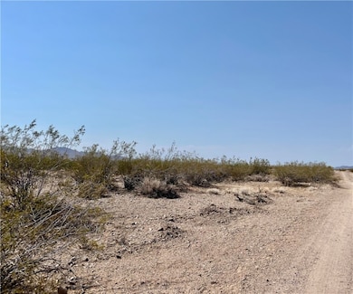 351-05-067 N Mineral Rd, Dolan Springs, AZ 86441 - photo 6
