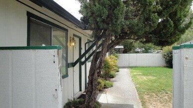 Side Yard