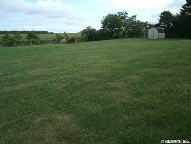 Yard.